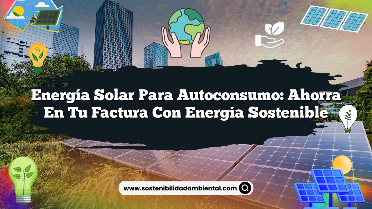 Energía Solar para Autoconsumo: Ahorra en tu Factura con Energía Sostenible