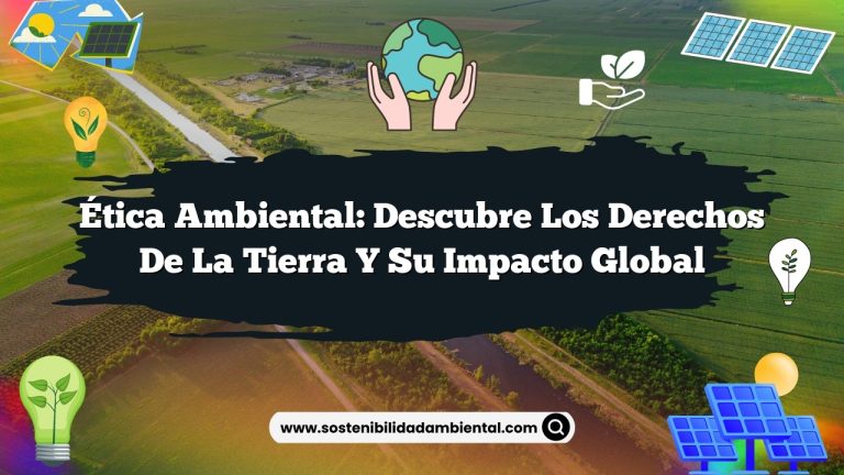 Imagen de Ética Ambiental: Descubre los Derechos de la Tierra y su Impacto Global Ética Ambiental: Descubre los Derechos de la Tierra y su Impacto Global