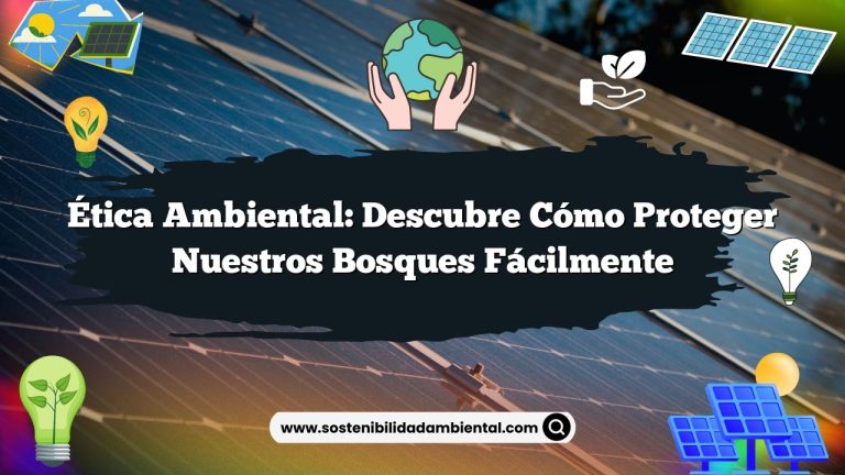 Imagen de Ética ambiental: Descubre cómo proteger nuestros bosques fácilmente Ética ambiental: Descubre cómo proteger nuestros bosques fácilmente