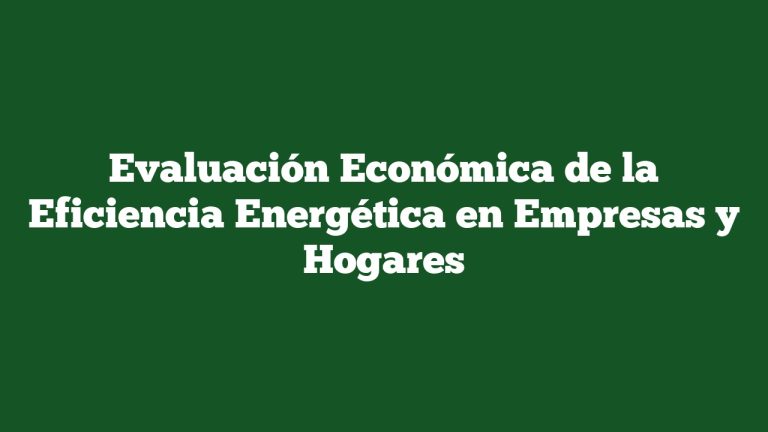 Evaluación Económica de la Eficiencia Energética en Empresas y Hogares
