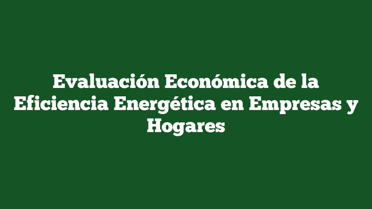 Evaluación Económica de la Eficiencia Energética en Empresas y Hogares