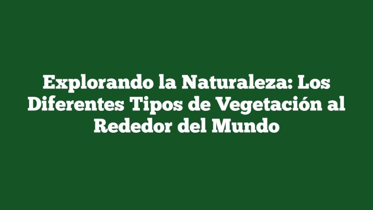 Explorando la Naturaleza: Los Diferentes Tipos de Vegetación al Rededor del Mundo