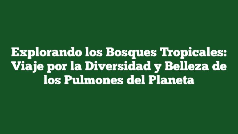 Imagen de Explorando los Bosques Tropicales: Viaje por la Diversidad y Belleza de los Pulmones del Planeta Explorando los Bosques Tropicales: Viaje por la Diversidad y Belleza de los Pulmones del Planeta