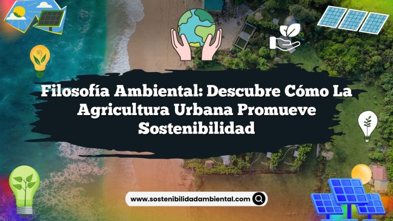 Imagen de Filosofía Ambiental: Descubre Cómo la Agricultura Urbana Promueve Sostenibilidad Filosofía Ambiental: Descubre Cómo la Agricultura Urbana Promueve Sostenibilidad
