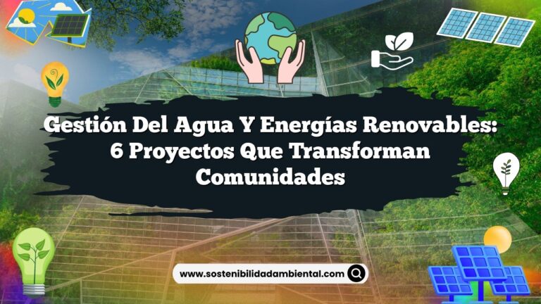 Gestión del Agua y Energías Renovables: 6 Proyectos que Transforman Comunidades