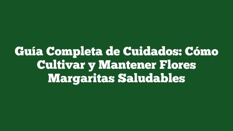 Guía Completa de Cuidados: Cómo Cultivar y Mantener Flores Margaritas Saludables