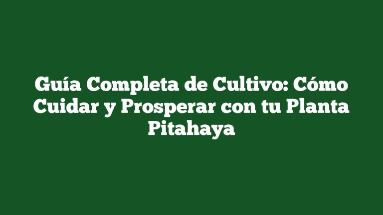 Imagen de Guía Completa de Cultivo: Cómo Cuidar y Prosperar con tu Planta Pitahaya Guía Completa de Cultivo: Cómo Cuidar y Prosperar con tu Planta Pitahaya