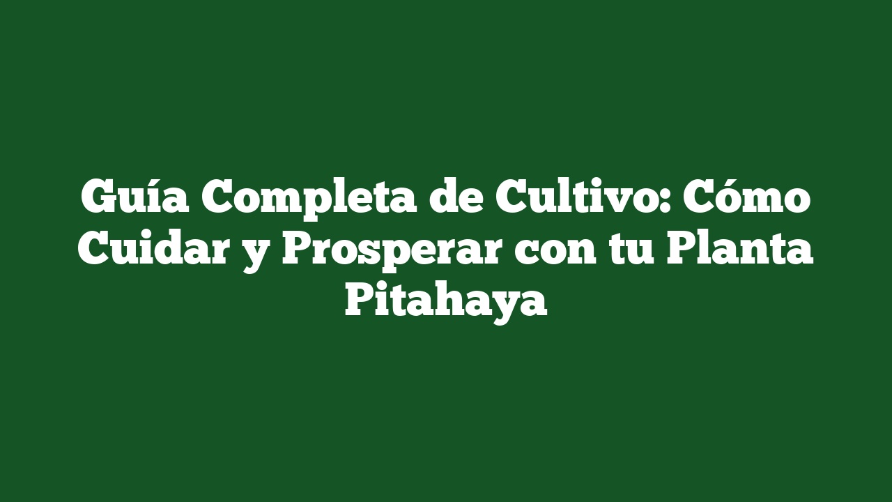 Guía Completa de Cultivo: Cómo Cuidar y Prosperar con tu Planta Pitahaya