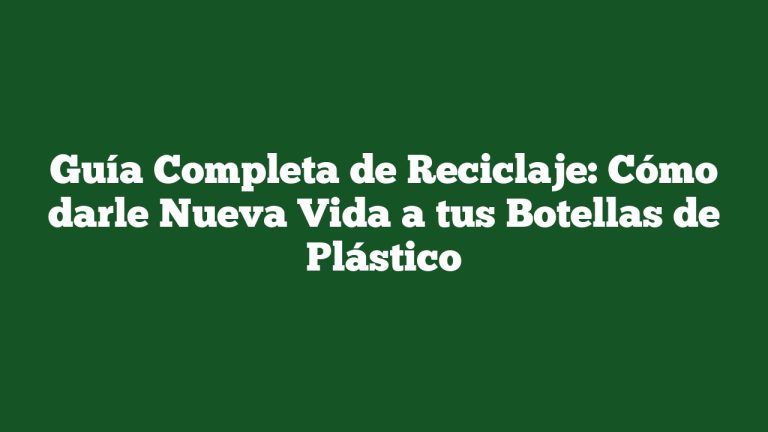 Imagen de Guía Completa de Reciclaje: Cómo darle Nueva Vida a tus Botellas de Plástico Guía Completa de Reciclaje: Cómo darle Nueva Vida a tus Botellas de Plástico