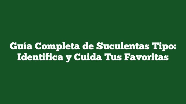 Imagen de Guía Completa de Suculentas Tipo: Identifica y Cuida Tus Favoritas Guía Completa de Suculentas Tipo: Identifica y Cuida Tus Favoritas