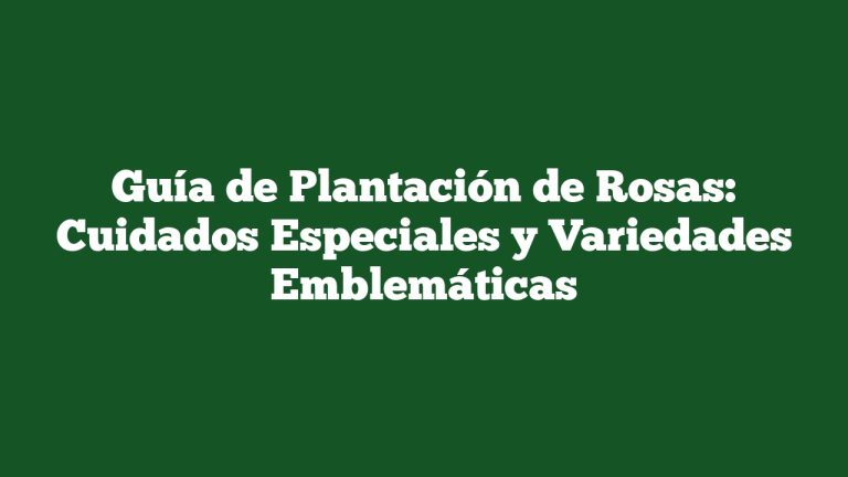 Imagen de Guía de Plantación de Rosas: Cuidados Especiales y Variedades Emblemáticas Guía de Plantación de Rosas: Cuidados Especiales y Variedades Emblemáticas