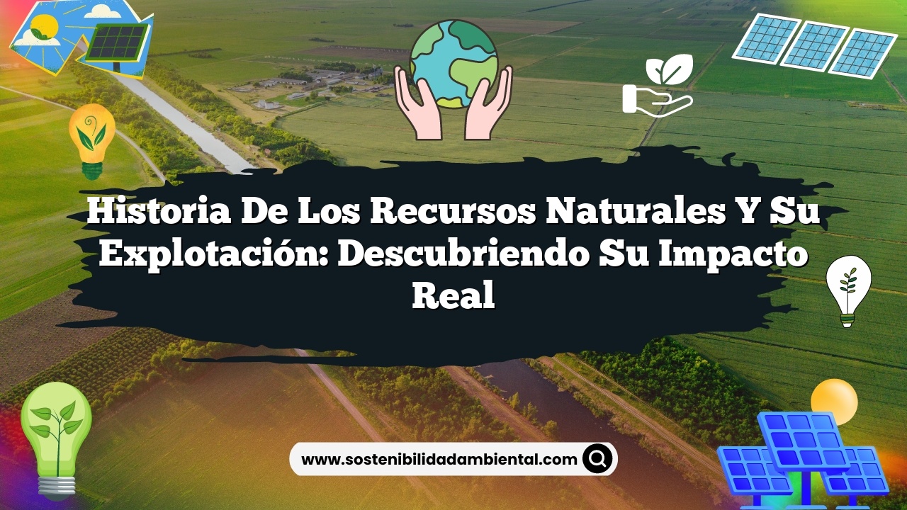Historia de los recursos naturales y su explotación: descubriendo su impacto real