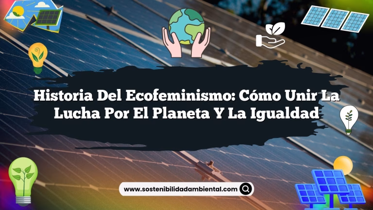 Imagen de Historia del Ecofeminismo: Cómo Unir la Lucha por el Planeta y la Igualdad Historia del Ecofeminismo: Cómo Unir la Lucha por el Planeta y la Igualdad