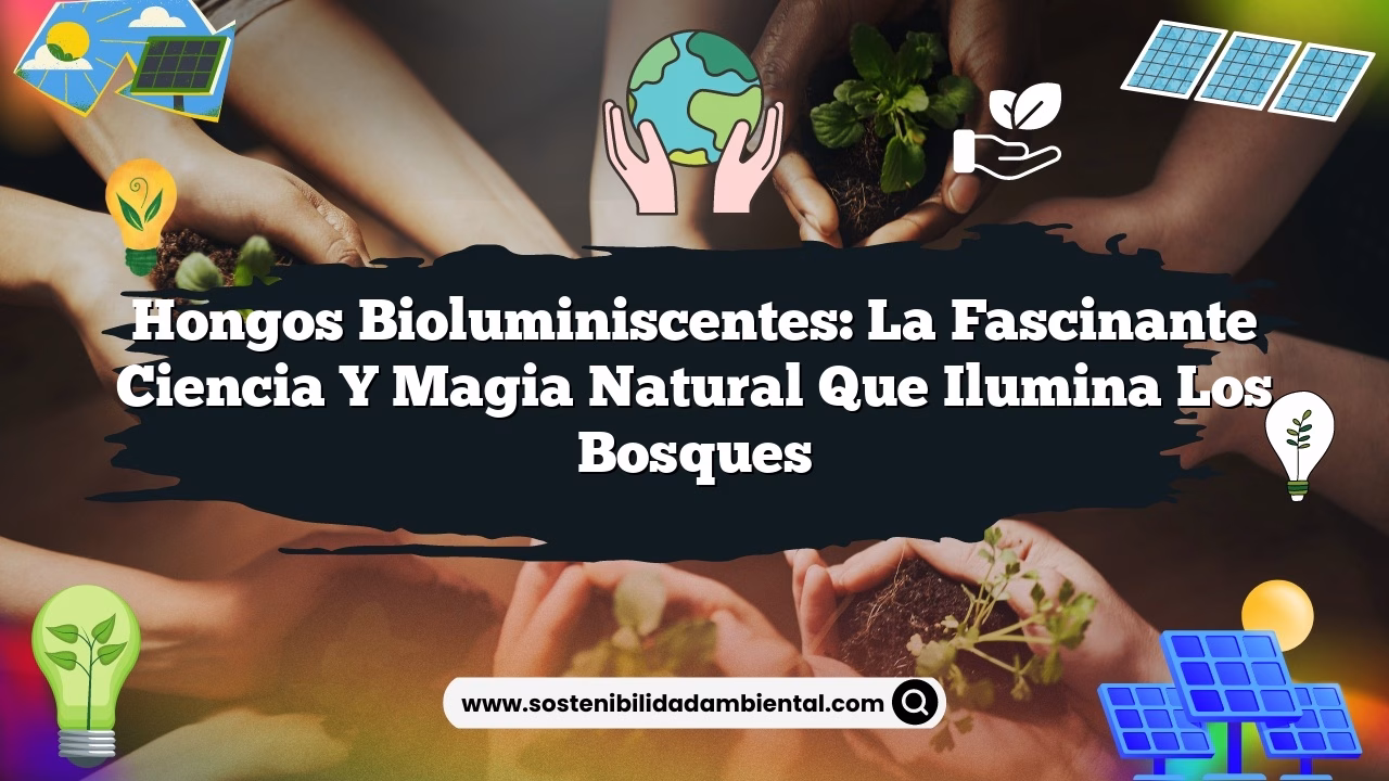 Hongos Bioluminiscentes: La Fascinante Ciencia y Magia Natural que Ilumina los Bosques