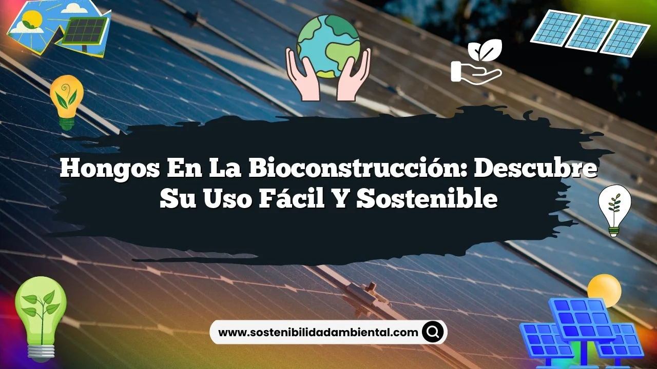 Hongos en la bioconstrucción: descubre su uso fácil y sostenible