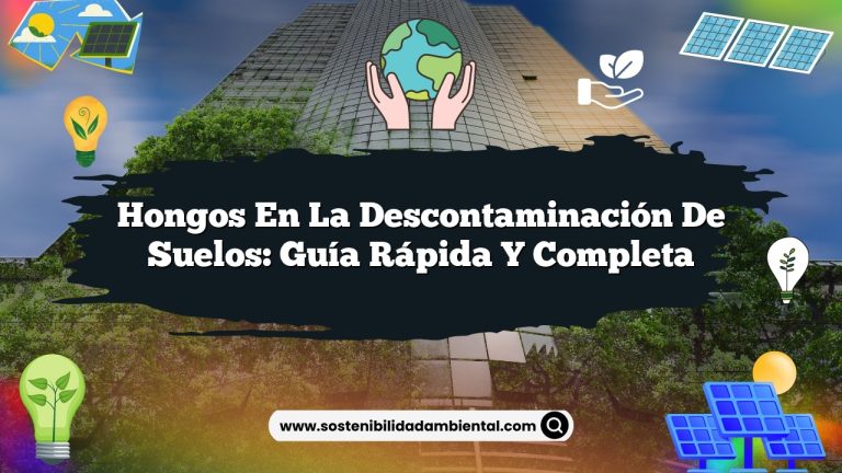 Hongos en la descontaminación de suelos: guía rápida y completa
