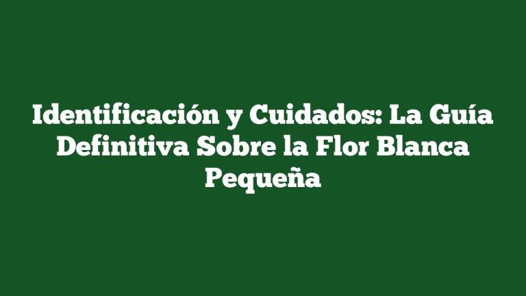 Imagen de Identificación y Cuidados: La Guía Definitiva Sobre la Flor Blanca Pequeña Identificación y Cuidados: La Guía Definitiva Sobre la Flor Blanca Pequeña