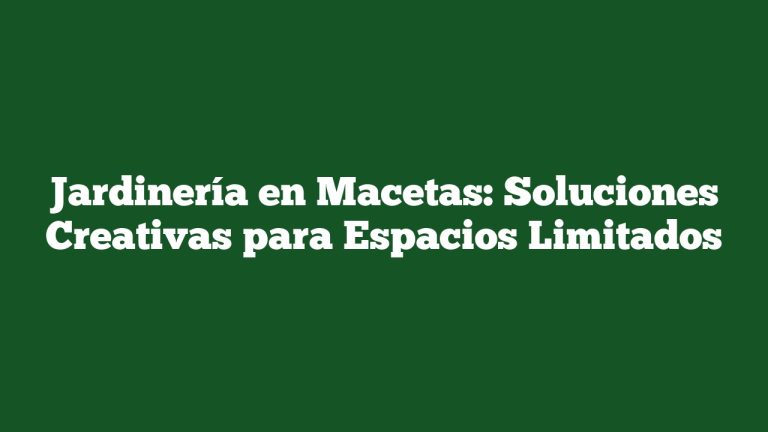 Jardinería en Macetas: Soluciones Creativas para Espacios Limitados