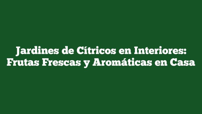 Jardines de Cítricos en Interiores: Frutas Frescas y Aromáticas en Casa