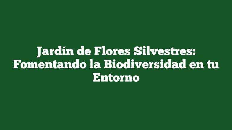 Imagen de Jardín de Flores Silvestres: Fomentando la Biodiversidad en tu Entorno Jardín de Flores Silvestres: Fomentando la Biodiversidad en tu Entorno