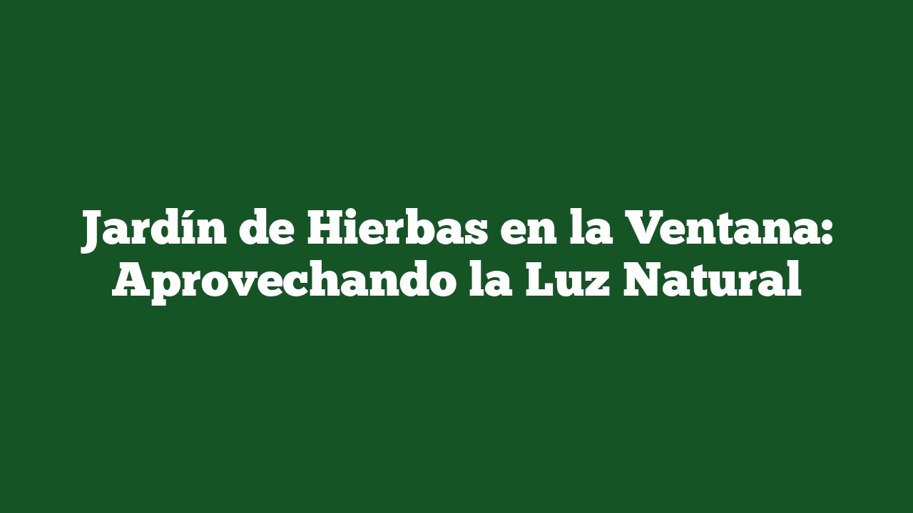 Jardín de Hierbas en la Ventana: Aprovechando la Luz Natural