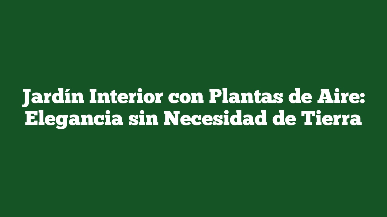 Jardín Interior con Plantas de Aire: Elegancia sin Necesidad de Tierra