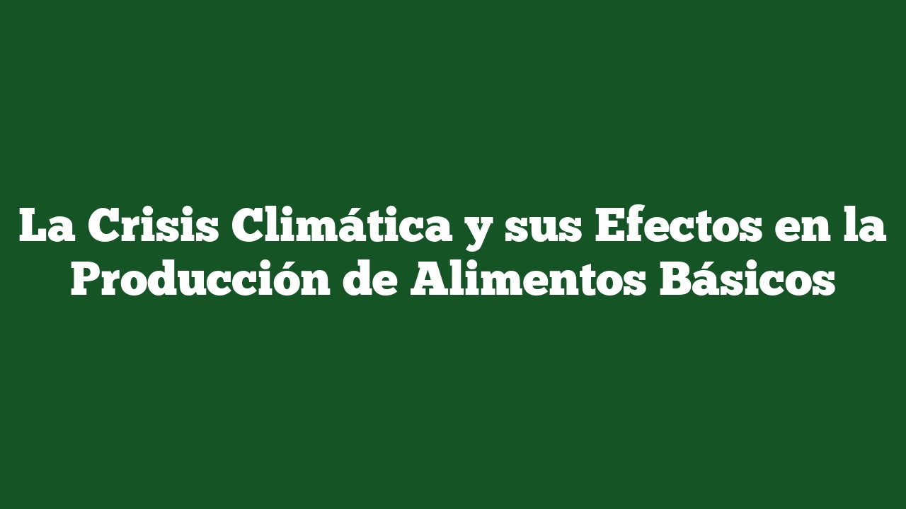 La Crisis Climática y sus Efectos en la Producción de Alimentos Básicos