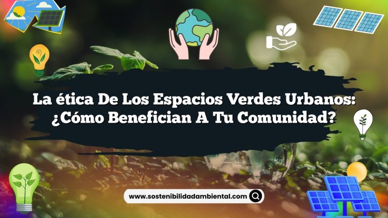 Imagen de La ética de los espacios verdes urbanos: ¿Cómo benefician a tu comunidad? La ética de los espacios verdes urbanos: ¿Cómo benefician a tu comunidad?