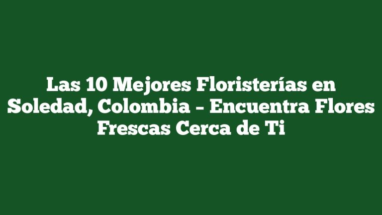 Las 10 Mejores Floristerías en Soledad, Colombia – Encuentra Flores Frescas Cerca de Ti