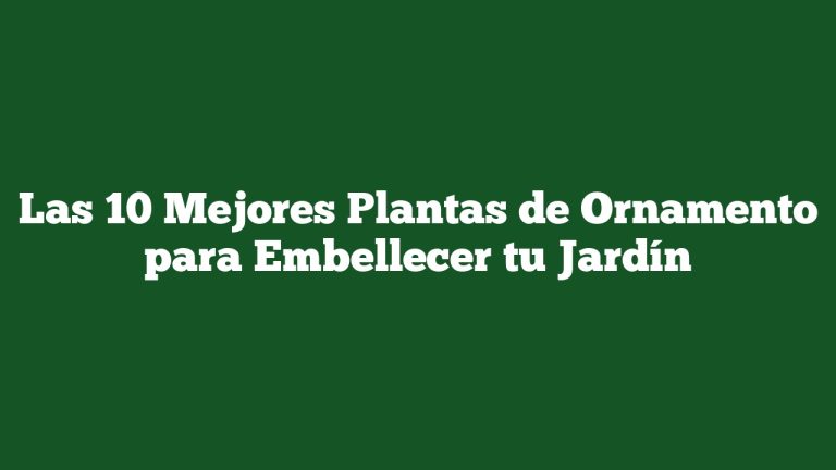 Imagen de Las 10 Mejores Plantas de Ornamento para Embellecer tu Jardín Las 10 Mejores Plantas de Ornamento para Embellecer tu Jardín