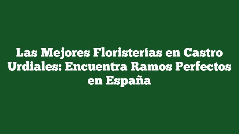 Imagen de Las Mejores Floristerías en Castro Urdiales: Encuentra Ramos Perfectos en España Las Mejores Floristerías en Castro Urdiales: Encuentra Ramos Perfectos en España
