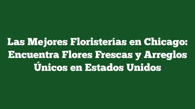 Imagen de Las Mejores Floristerías en Chicago: Encuentra Flores Frescas y Arreglos Únicos en Estados Unidos Las Mejores Floristerías en Chicago: Encuentra Flores Frescas y Arreglos Únicos en Estados Unidos