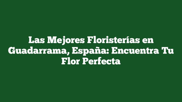 Imagen de Las Mejores Floristerías en Guadarrama, España: Encuentra Tu Flor Perfecta Las Mejores Floristerías en Guadarrama, España: Encuentra Tu Flor Perfecta