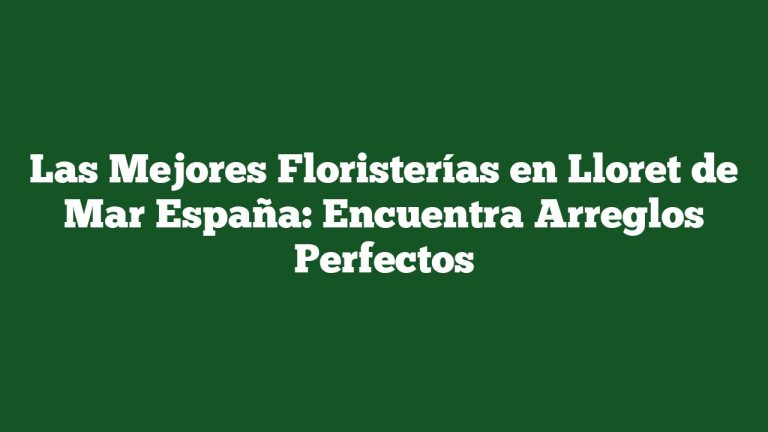 Imagen de Las Mejores Floristerías en Lloret de Mar España: Encuentra Arreglos Perfectos Las Mejores Floristerías en Lloret de Mar España: Encuentra Arreglos Perfectos
