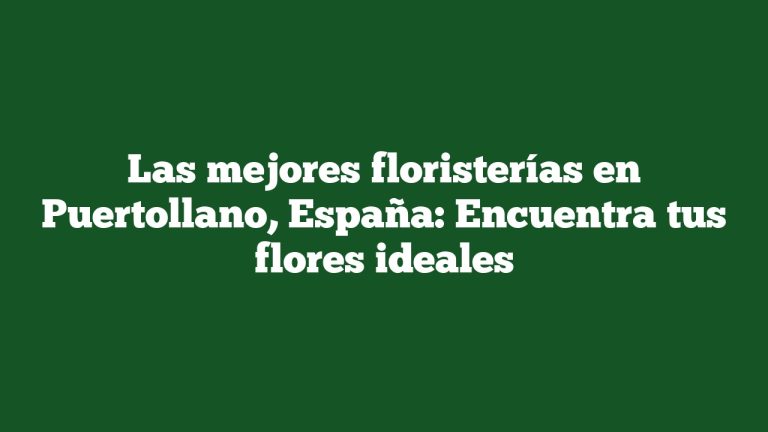 Imagen de Las mejores floristerías en Puertollano, España: Encuentra tus flores ideales Las mejores floristerías en Puertollano, España: Encuentra tus flores ideales