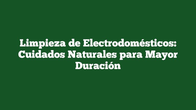 Imagen de Limpieza de Electrodomésticos: Cuidados Naturales para Mayor Duración Limpieza de Electrodomésticos: Cuidados Naturales para Mayor Duración