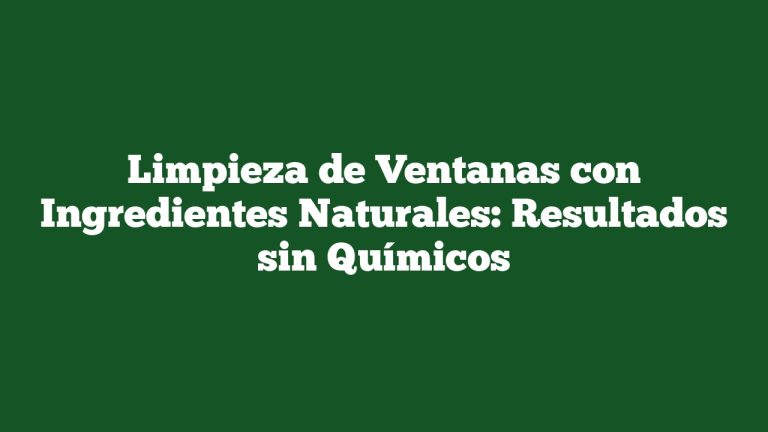 Imagen de Limpieza de Ventanas con Ingredientes Naturales: Resultados sin Químicos Limpieza de Ventanas con Ingredientes Naturales: Resultados sin Químicos