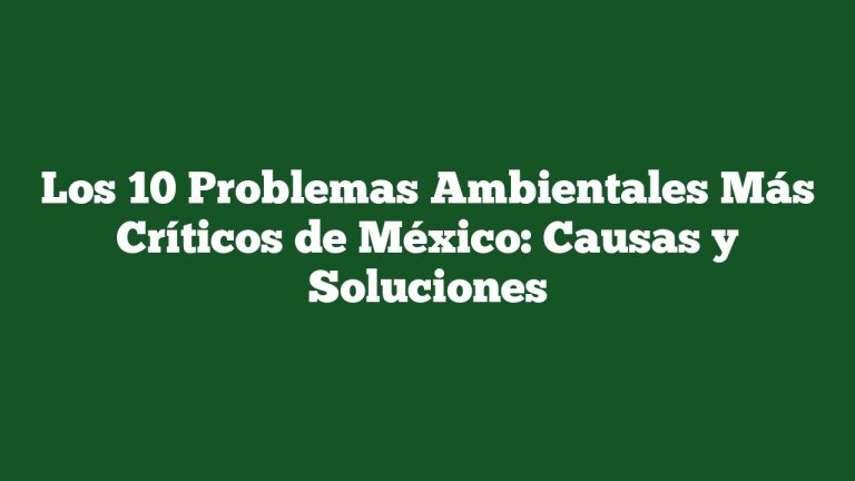 Los 10 Problemas Ambientales Más Críticos de México: Causas y Soluciones