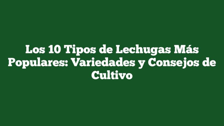 Imagen de Los 10 Tipos de Lechugas Más Populares: Variedades y Consejos de Cultivo Los 10 Tipos de Lechugas Más Populares: Variedades y Consejos de Cultivo