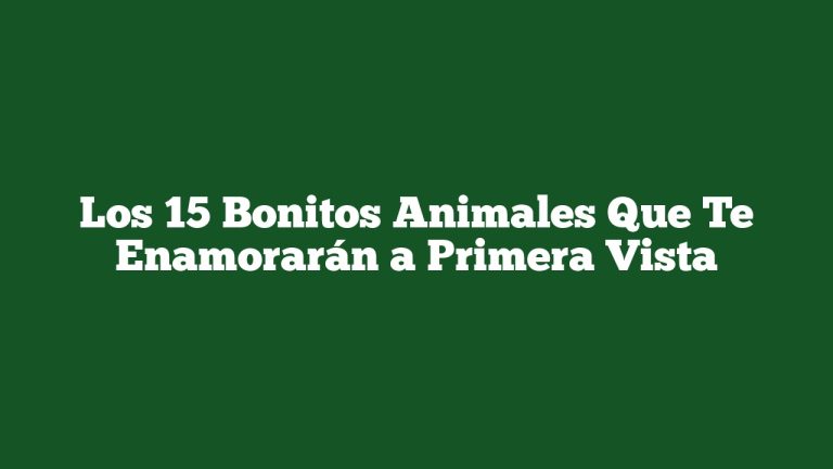 Los 15 Bonitos Animales Que Te Enamorarán a Primera Vista
