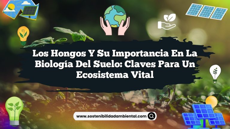 Imagen de Los hongos y su importancia en la biología del suelo: claves para un ecosistema vital Los hongos y su importancia en la biología del suelo: claves para un ecosistema vital