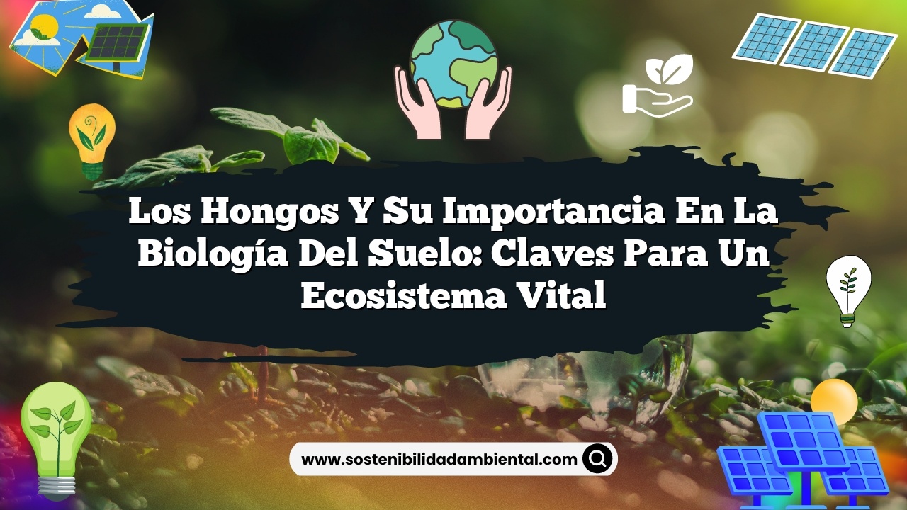 Los hongos y su importancia en la biología del suelo: claves para un ecosistema vital