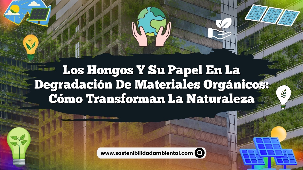 Los hongos y su papel en la degradación de materiales orgánicos: Cómo transforman la naturaleza