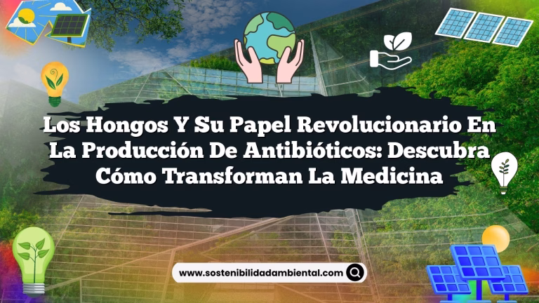 Imagen de Los Hongos y su Papel Revolucionario en la Producción de Antibióticos: Descubra Cómo Transforman la Medicina Los Hongos y su Papel Revolucionario en la Producción de Antibióticos: Descubra Cómo Transforman la Medicina