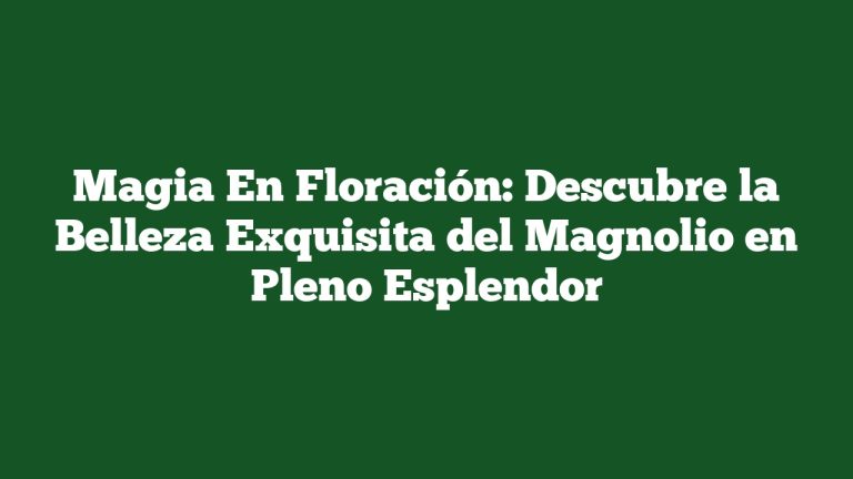 Imagen de Magia En Floración: Descubre la Belleza Exquisita del Magnolio en Pleno Esplendor Magia En Floración: Descubre la Belleza Exquisita del Magnolio en Pleno Esplendor