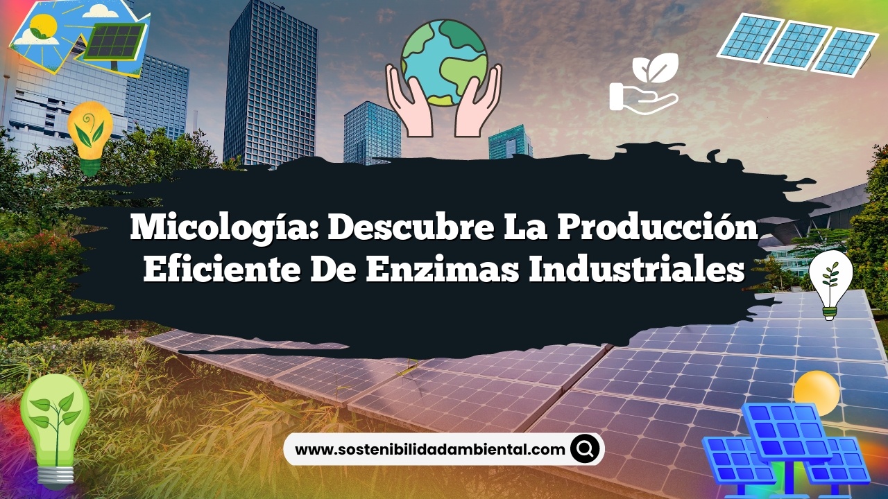 Micología: Descubre la Producción Eficiente de Enzimas Industriales