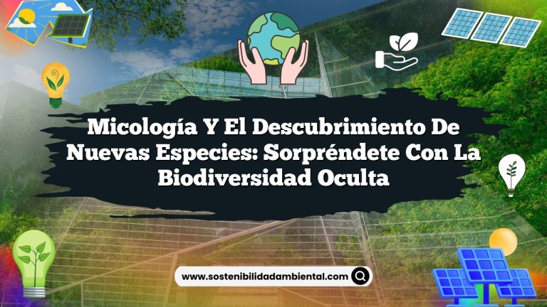 Imagen de Micología y el descubrimiento de nuevas especies: Sorpréndete con la biodiversidad oculta Micología y el descubrimiento de nuevas especies: Sorpréndete con la biodiversidad oculta