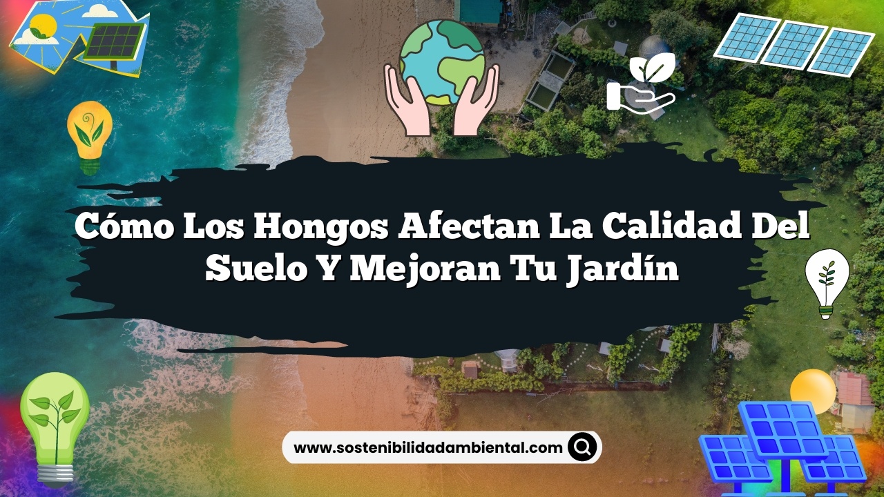 Cómo los hongos afectan la calidad del suelo y mejoran tu jardín