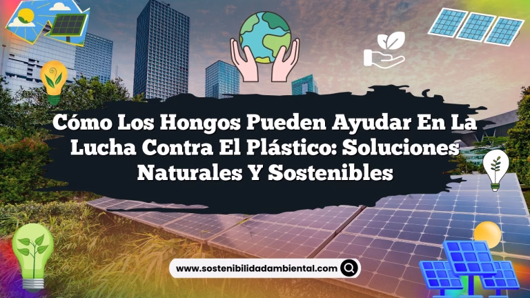 Imagen de Cómo los hongos pueden ayudar en la lucha contra el plástico: Soluciones naturales y sostenibles Cómo los hongos pueden ayudar en la lucha contra el plástico: Soluciones naturales y sostenibles