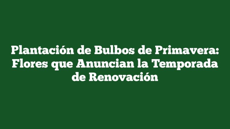Plantación de Bulbos de Primavera: Flores que Anuncian la Temporada de Renovación